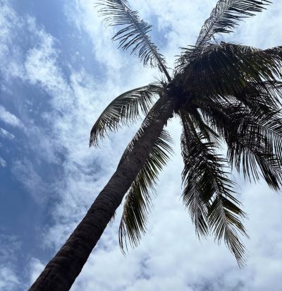 Mercure Phu Quoc Resort & Villas в августе — фото погоды (2025-08-24)
