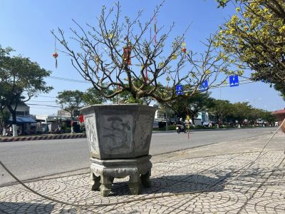 Trường Đại Học Mỹ Thái Bình Dương в феврале — фото погоды (2024-02-02)
