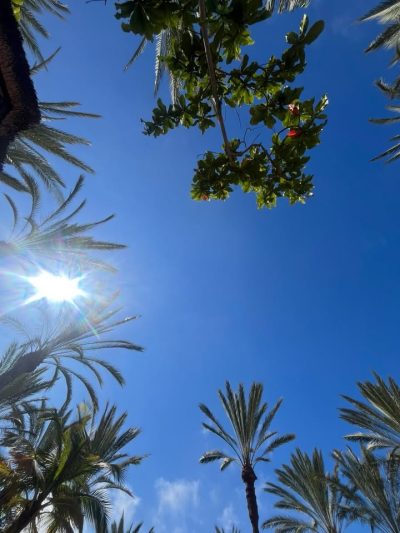 Meloneras, Gran Canaria в июле — фото погоды (2026-07-05)