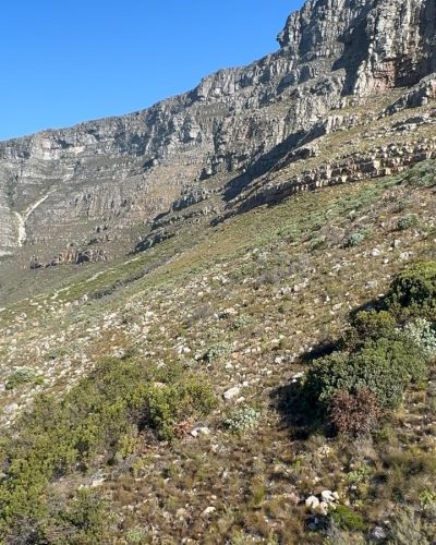 Table Mountain Peak, South Africa в апреле — фото погоды (2026-04-09)