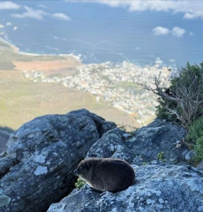 Table Mountain Peak, South Africa в мае — фото погоды (2026-05-09)