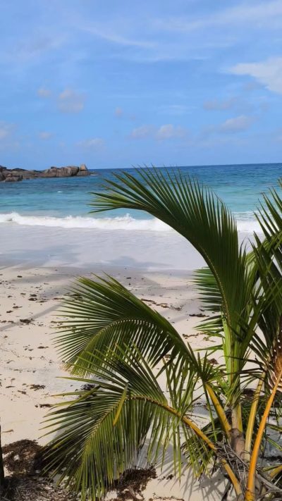 Anse Takamaka, Seychelles в феврале — фото погоды (2026-02-20)
