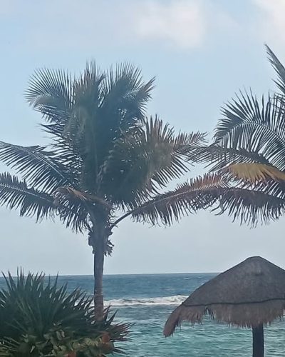 Grand Oasis Tulum, Riviera Maya в феврале — фото погоды (2026-02-27)
