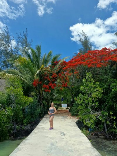 Ile Aux Cerf, Mauritius в январе — фото погоды (2026-01-17)