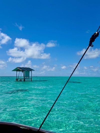 Ile Aux Cerf, Mauritius в апреле — фото погоды (2026-04-08)