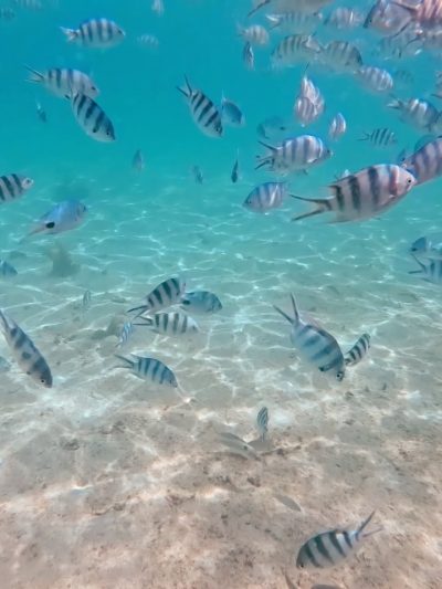 Ile Aux Cerf, Mauritius в апреле — фото погоды (2026-04-22)