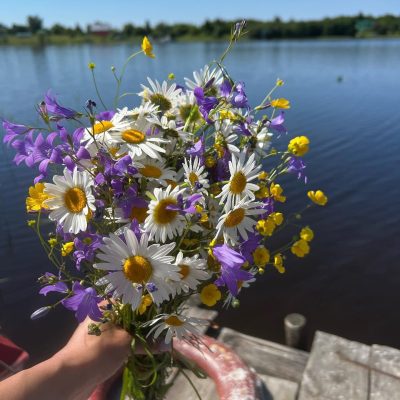 Большой Клименецкий Остров в июле — фото погоды (2022-07-05)