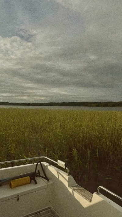 Большой Клименецкий Остров в июле — фото погоды (2026-07-08)