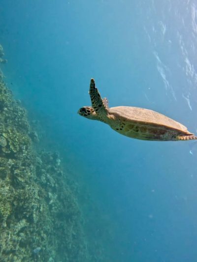 South Male Atoll, Maldives в декабре — фото погоды (2025-12-23)