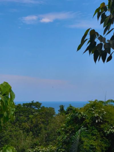 Kampung Paya , Pulau Tioman в ноябре — фото погоды (2025-11-01)
