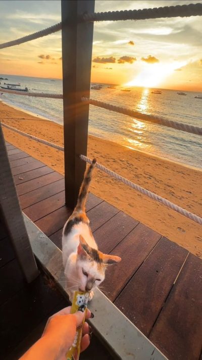 Kampung Paya , Pulau Tioman в марте — фото погоды (2026-03-23)