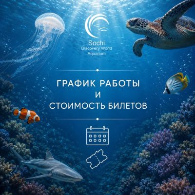 Oceanarium Sdwa в июне — фото погоды (2026-06-15)