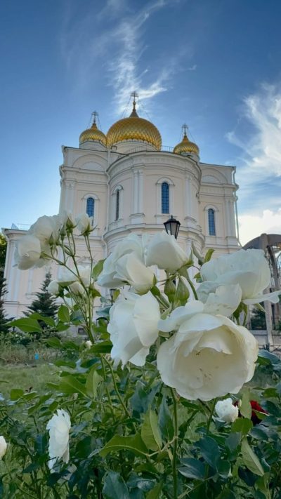 Воскресенский Новодевичий монастырь в июне — фото погоды (2026-06-28)