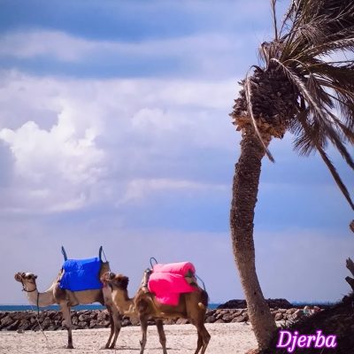 Club Palm Azur Djerba в сентябре — фото погоды (2025-09-19)