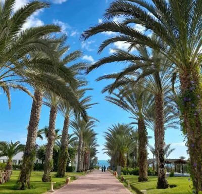 Club Palm Azur Djerba в сентябре — фото погоды (2025-09-24)