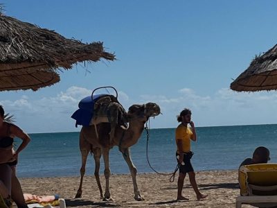 Club Palm Azur Djerba в сентябре — фото погоды (2025-09-28)