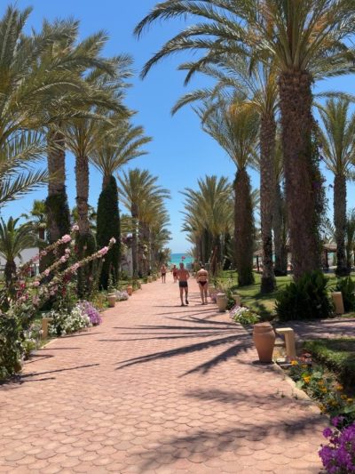 Club Palm Azur Djerba в мае — фото погоды (2026-05-24)