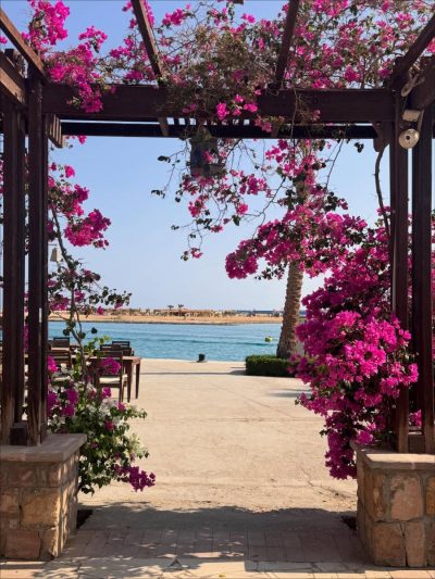 Porto Ghalib Marsa Alam в ноябре — фото погоды (2025-11-03)