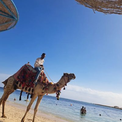 Porto Ghalib Marsa Alam в декабре — фото погоды (2025-12-08)