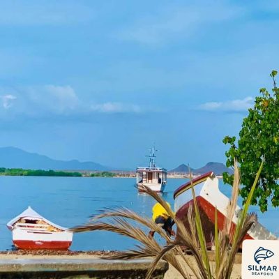 Museo Marino de Margarita,Boca del rio - Venezuela в августе — фото погоды (2025-08-21)