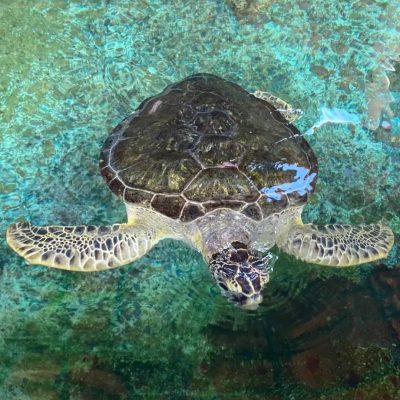 Museo Marino de Margarita,Boca del rio - Venezuela в октябре — фото погоды (2025-10-12)