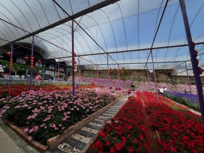Lavender Garden, Cameron Highlands в феврале — фото погоды (2026-02-28)