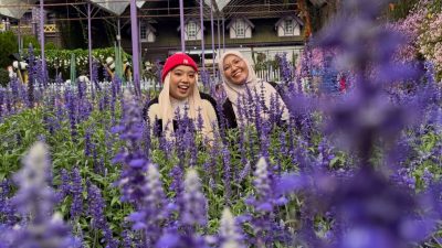 Lavender Garden, Cameron Highlands в апреле — фото погоды (2026-04-15)