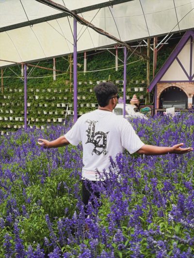 Lavender Garden, Cameron Highlands в июне — фото погоды (2026-06-03)