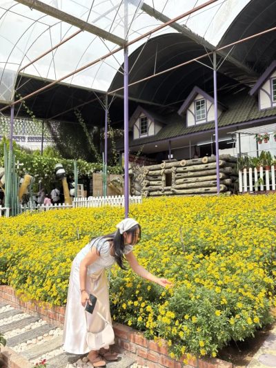 Lavender Garden, Cameron Highlands в июле — фото погоды (2026-07-11)