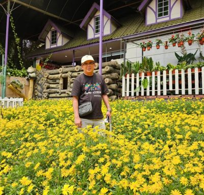 Lavender Garden, Cameron Highlands в июле — фото погоды (2026-07-15)