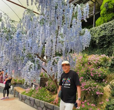 Lavender Garden, Cameron Highlands в июле — фото погоды (2026-07-15)