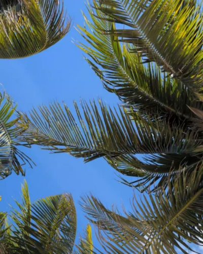 Diamond Club at Royalton Riviera Cancun в январе — фото погоды (2026-01-10)