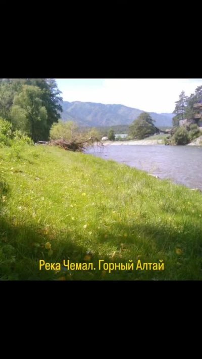 Река Чемал в апреле — фото погоды (2026-04-10)