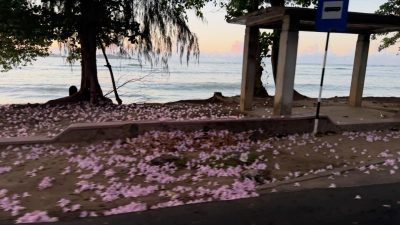 Sri Lanka Weligama Beach в июне — фото погоды (2026-06-25)