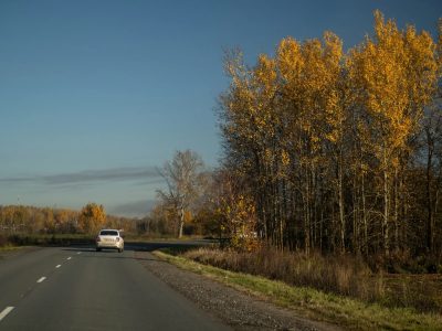 Юрьево в октябре — фото погоды (2025-10-29)