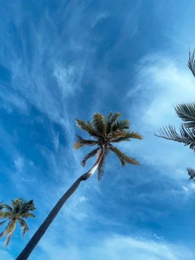 Playa Akumal в октябре — фото погоды (2025-10-17)