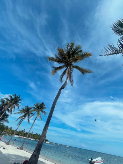 Playa Akumal в октябре — фото погоды (2025-10-17)