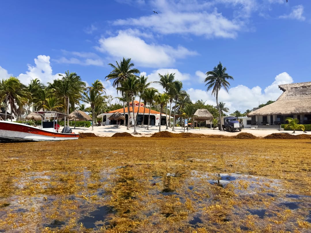 Погода в Playa Akumal