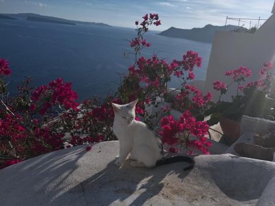 Santorini, Greece - Town Of Oia в январе — фото погоды (2026-01-10)