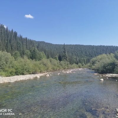 Буйба в августе — фото погоды (2022-08-07)