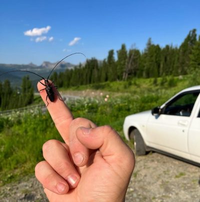 Буйба в июле — фото погоды (2023-07-17)
