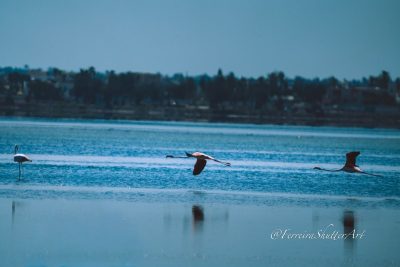 L'île Des Flamants Rose в сентябре — фото погоды (2025-09-18)
