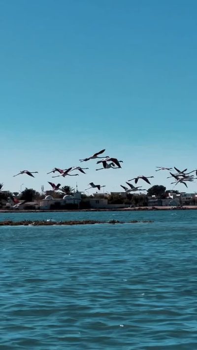 L'île Des Flamants Rose в ноябре — фото погоды (2025-11-30)