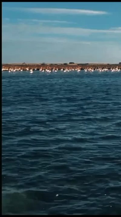 L'île Des Flamants Rose в декабре — фото погоды (2025-12-25)