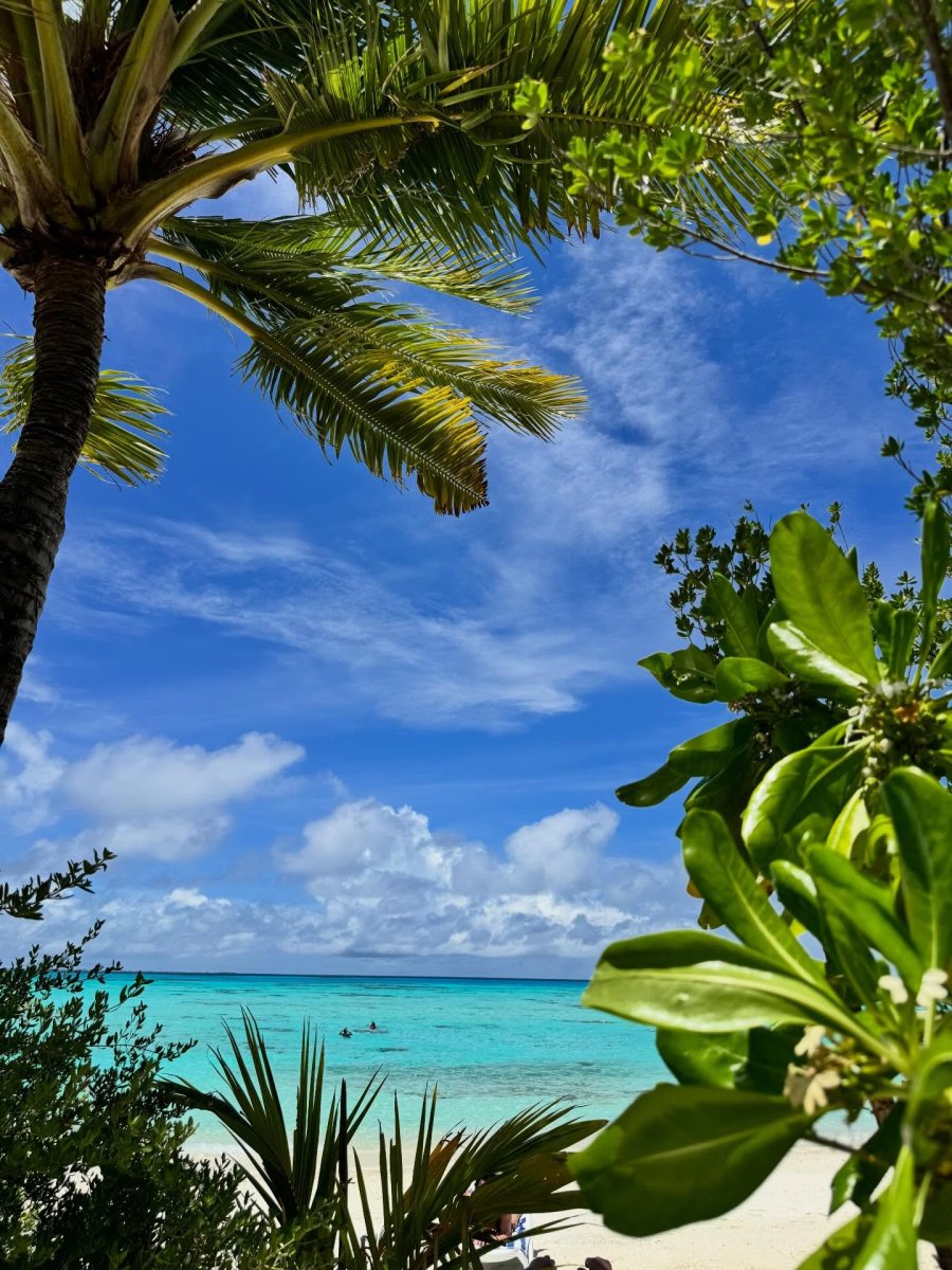 Погода в The Maldives