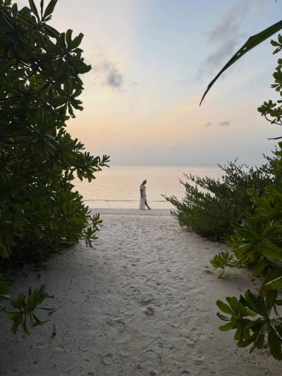 The Maldives в январе — фото погоды (2026-01-31)