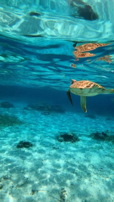 The Blue Hole, Belize в ноябре — фото погоды (2025-11-08)
