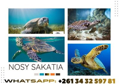 Nosy Sakatia в июле — фото погоды (2026-07-08)
