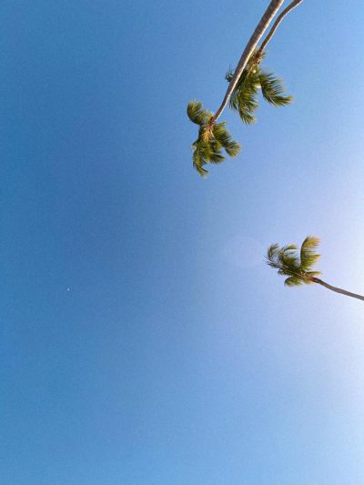 Cap Cana Beach в декабре — фото погоды (2025-12-29)