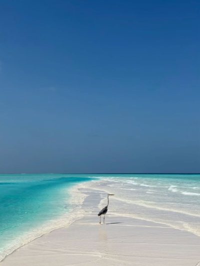 Finolhu, the Maldives в феврале — фото погоды (2026-02-25)